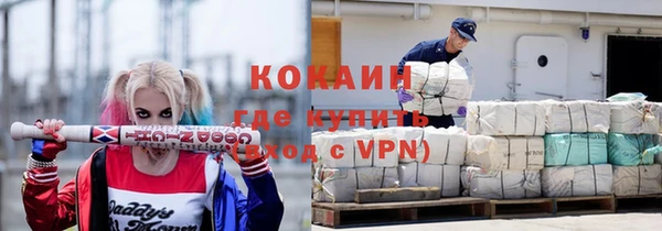 индика Новокубанск