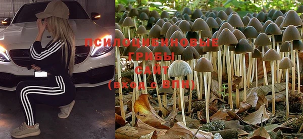 ешки Няндома