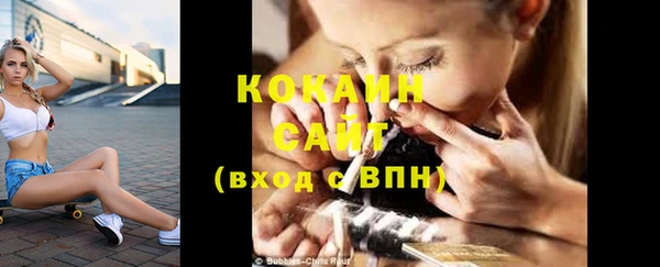 индика Новокубанск