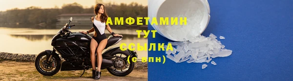 ПСИЛОЦИБИНОВЫЕ ГРИБЫ Новодвинск