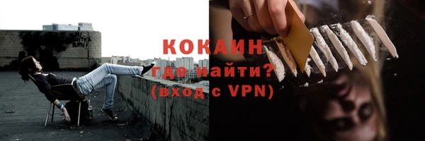 индика Новокубанск