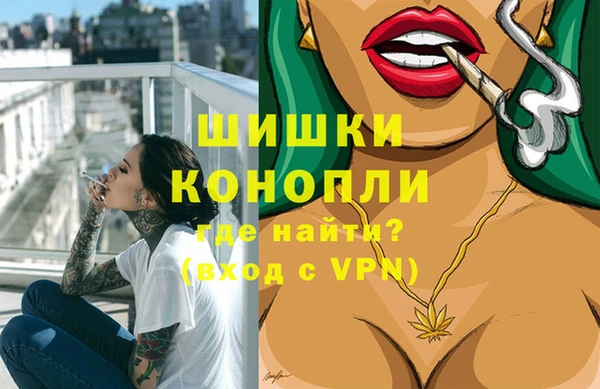 индика Новокубанск