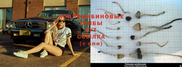 кокаин Новозыбков