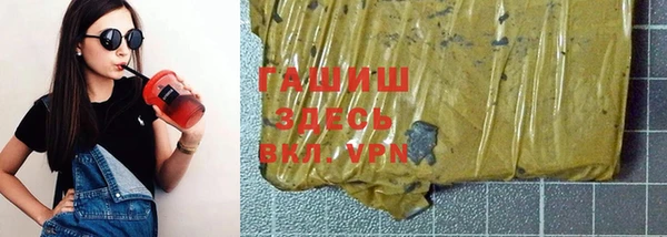 индика Новокубанск