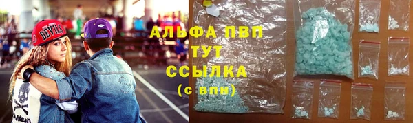 ПСИЛОЦИБИНОВЫЕ ГРИБЫ Новодвинск