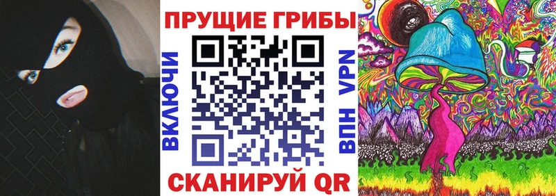 мега ссылка  Клинцы  Псилоцибиновые грибы прущие грибы  что такое  