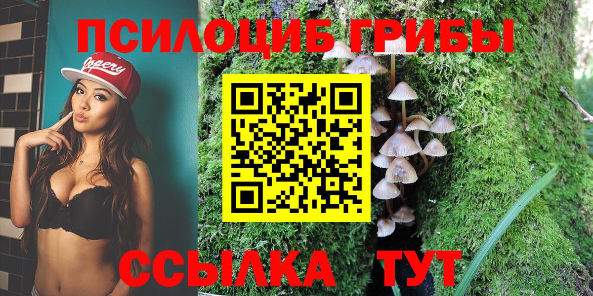 Галлюциногенные грибы прущие грибы Клинцы