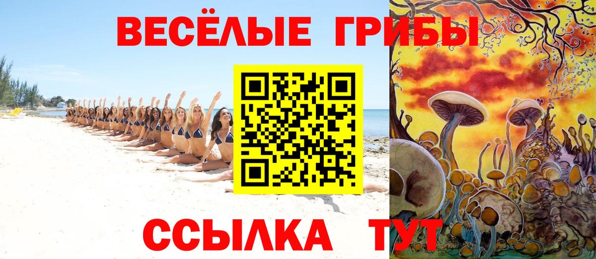 Клинцы  Галлюциногенные грибы GOLDEN TEACHER  Вход с VPN 